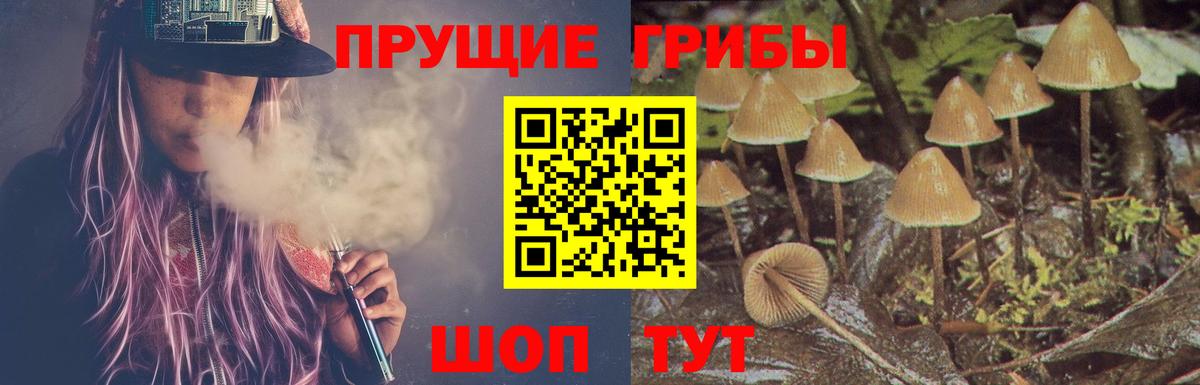 Галлюциногенные грибы GOLDEN TEACHER  Вход с VPN  Кировск  Псилоцибиновые грибы мицелий 