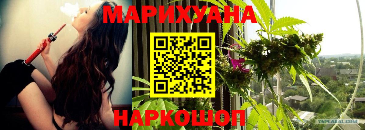 Каннабис конопля Кировск